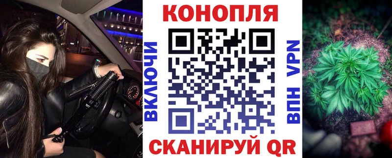 купить  сайты  Гай  Канабис Ganja 